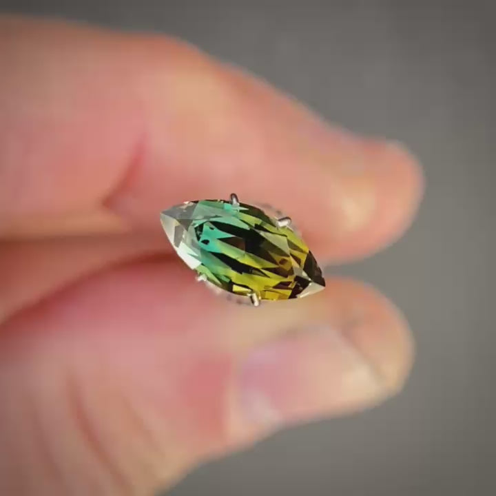 Video showing australian parti sapphire